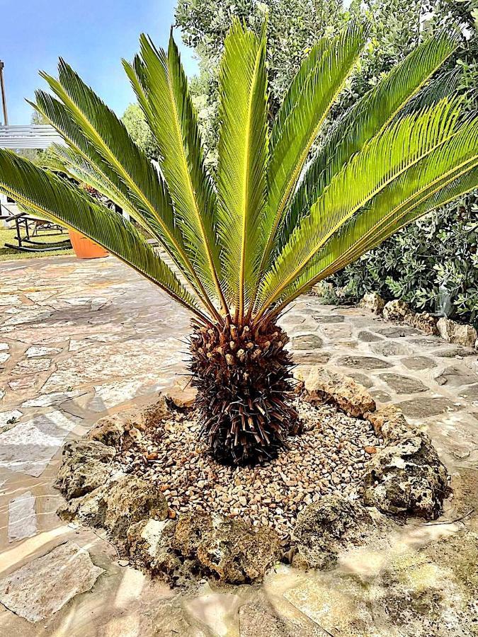 Lorelai Beach Marsala Zewnętrze zdjęcie